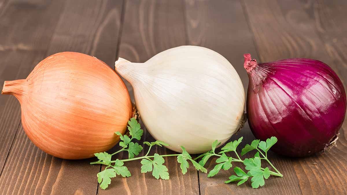 Onion
